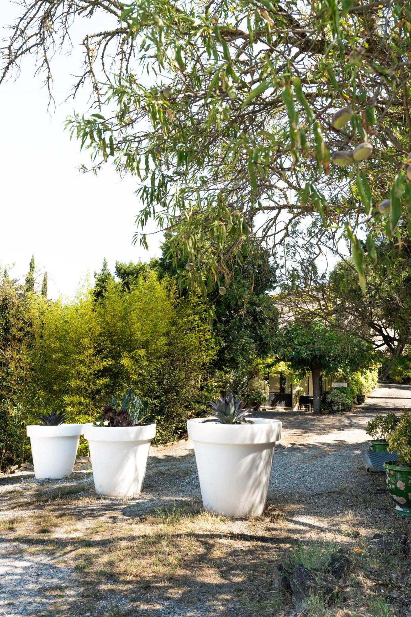 La Maison Sur La Colline Carcassonne Exterior photo
